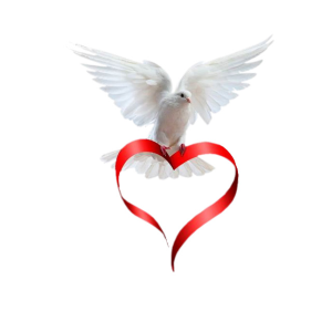 a dove with a heart ribbon
